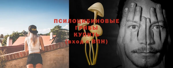 первитин Киренск
