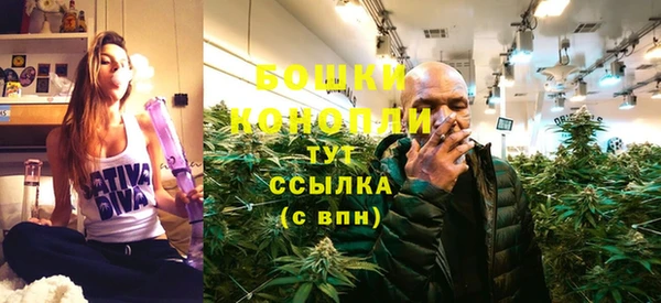 трава Кинешма
