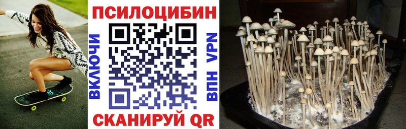 Галлюциногенные грибы GOLDEN TEACHER Купить Заволжск